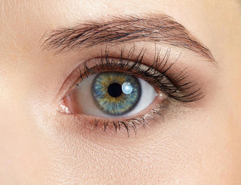 Picture of a single eye of a female model